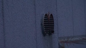 コウモリ出ます3