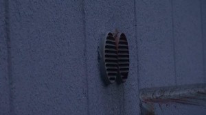 コウモリ出ます2