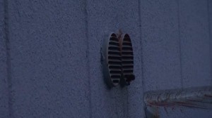 コウモリ出ます4