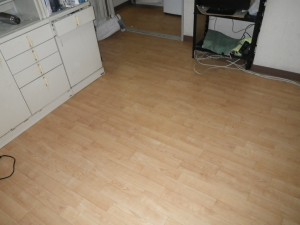 IMGP0994