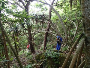 小笠原母島での3日目の作業！