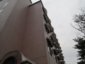 5階の庇にキイロスズメバチの巣が。。。。
