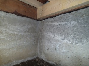 ネズミ駆除へ。。。 ネズミ駆除へ。。。