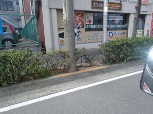 巣作りが始まったようです!! 巣作りが始まったようです!!