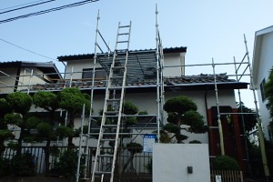 ヤマトシロアリ被害 ヤマトシロアリ被害