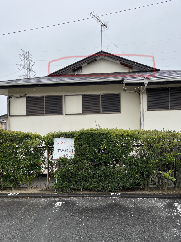 アライグマ・ハクビシン侵入路塞ぎ