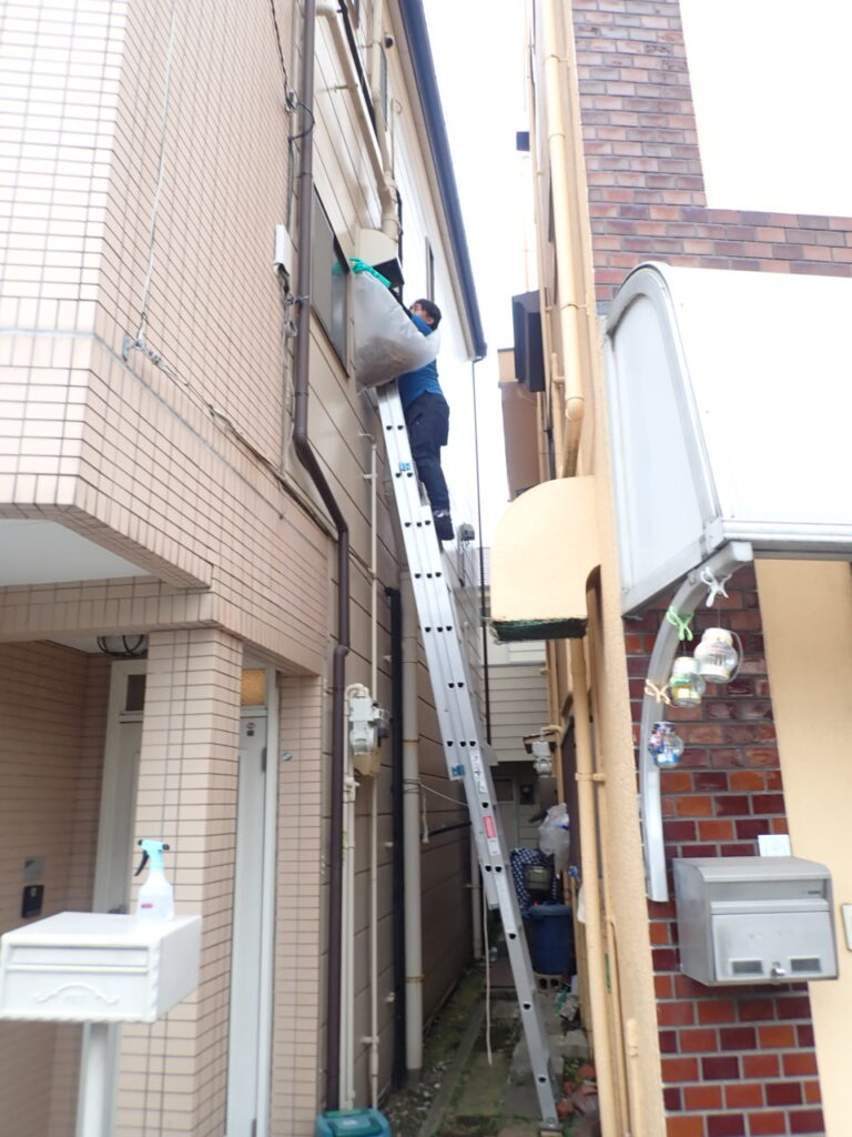 今年は鳥の被害が多いようです。。。