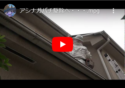 閑静な住宅街にハチが多く発生しております・・・ 閑静な住宅街にハチが多く発生しております・・・