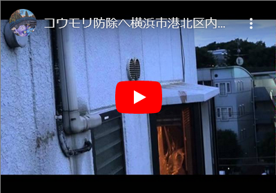 コウモリ防除へ行った動画ができました！！