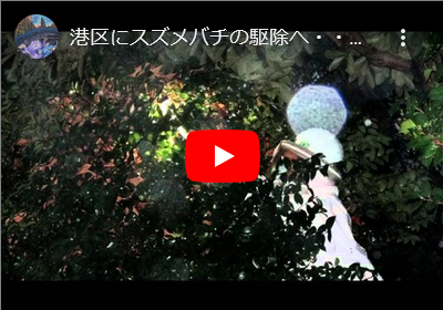 港区は・・・六本木にてキイロスズメバチの駆除へ！！