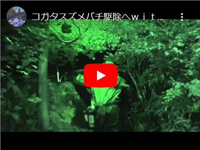 ナイトモードで撮影・・・・コガタスズメバチの編