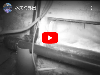 赤外線カメラにて監視!! 赤外線カメラにて監視!!
