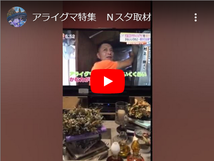 本日オンエア！アライグマ特集　Ｎスタ
