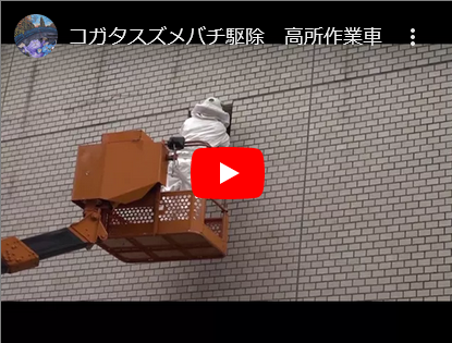 コガタスズメバチ駆除。。。高所作業車施工